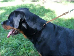 Colar de Couro 70 cm