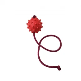 Bola de Borracha Macia Pequena com Cravo com Corda