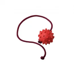 Bola de Borracha Macia Pequena com Cravo com Corda