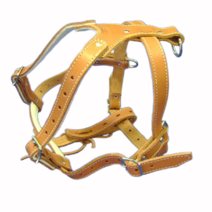 Peitoral para Tração