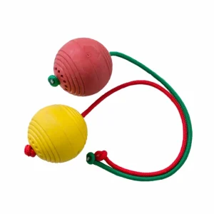 Bola de Borracha Maciça Grande Lisa com Corda