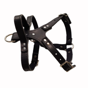 Peitoral para Proteção e Faro Pequeno