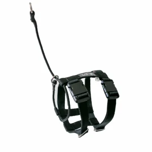 Coleira Dupla Grande