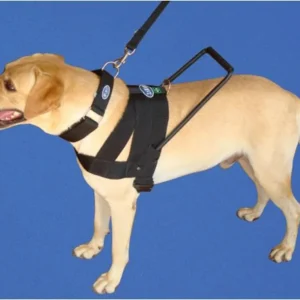 Peitoral para Cão Guia (Kit) em Fita Sintética