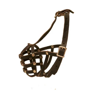 Focinheira Passeio Média - Couro