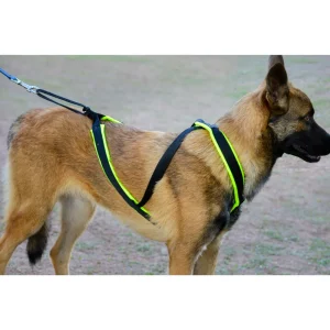 Peitoral "G&P" Médio